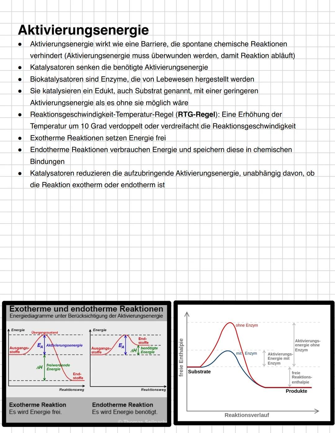# Stoffwechselphysiologie --- OCR Start ---
Inhaltsverzeichnis
Stoffaustausch im Fließgleichgewicht
Aufbau von Proteinen, Kohlenhydraten und