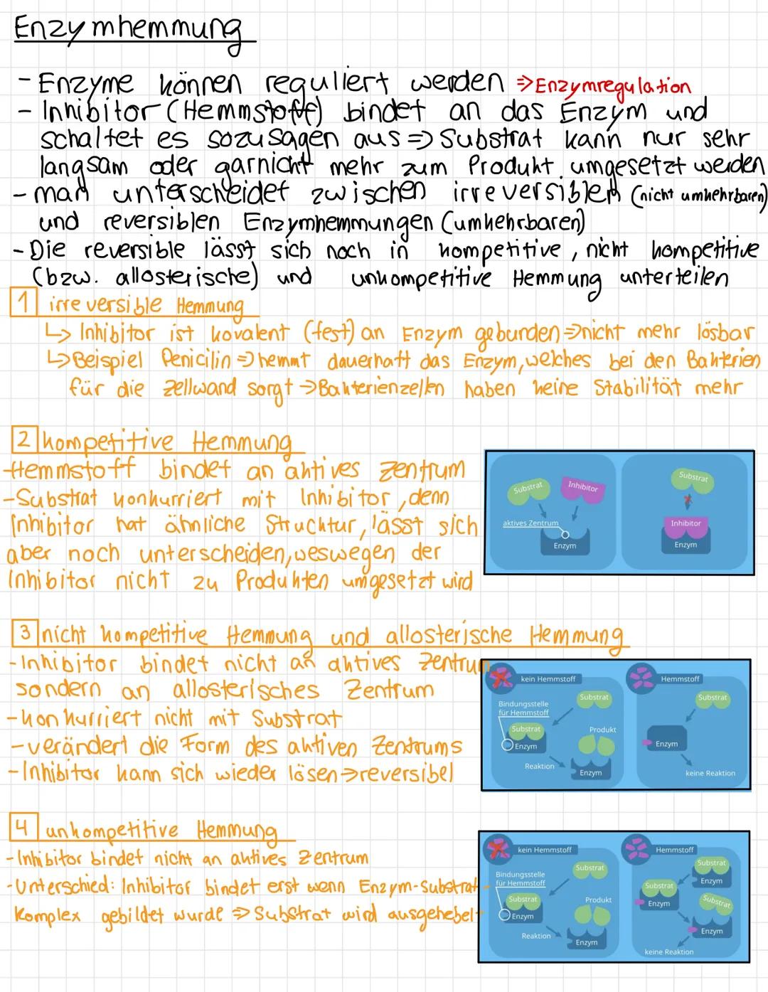 # Stoffwechselphysiologie --- OCR Start ---
Inhaltsverzeichnis
Stoffaustausch im Fließgleichgewicht
Aufbau von Proteinen, Kohlenhydraten und