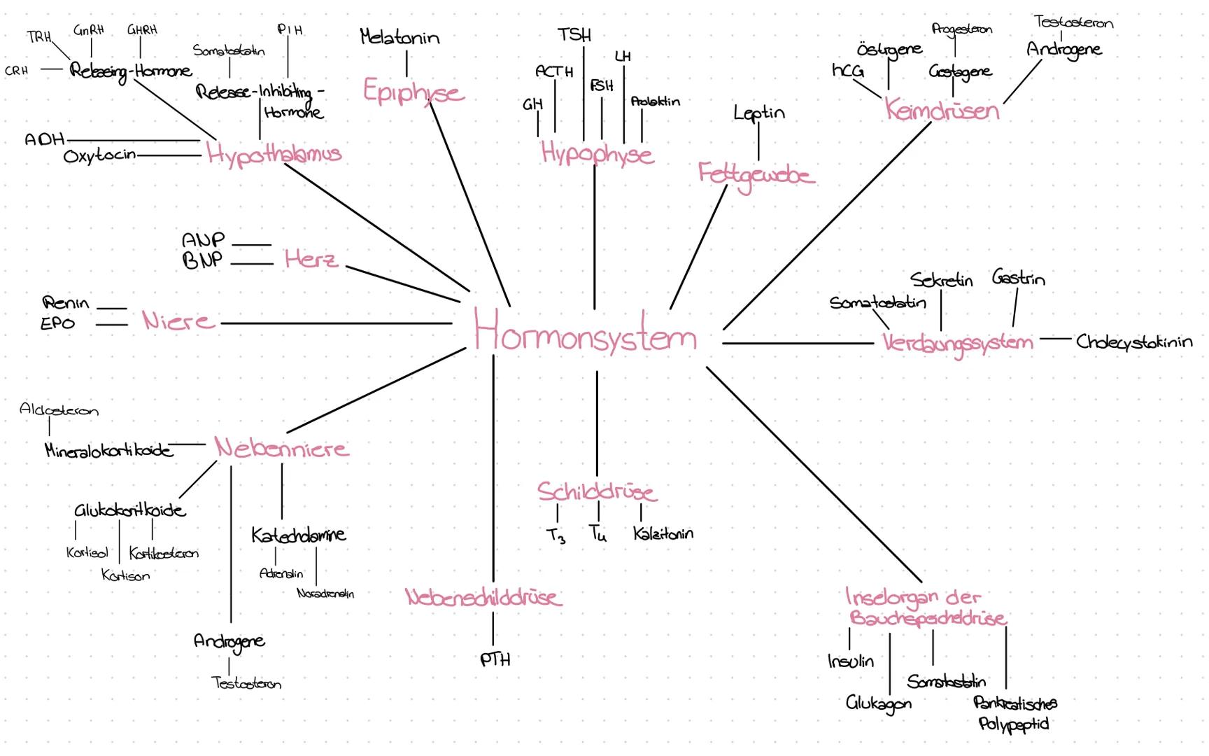 TRH GnRH GHRH
CRH - Releasing-Hormone
PIH Melatonin
Somatostatin
Release-Inhibiting -
Hormone
TSH
LH
Progesteron
Testosteron
Östigene
Andro