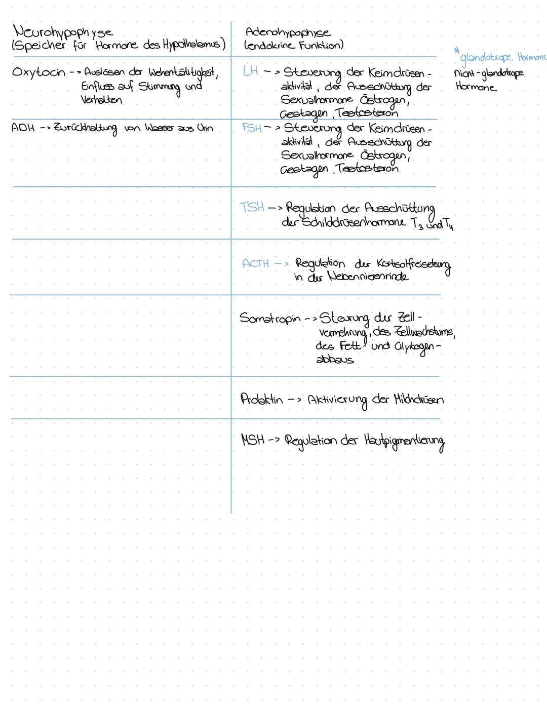 TRH GnRH GHRH
CRH - Releasing-Hormone
PIH Melatonin
Somatostatin
Release-Inhibiting -
Hormone
TSH
LH
Progesteron
Testosteron
Östigene
Andro