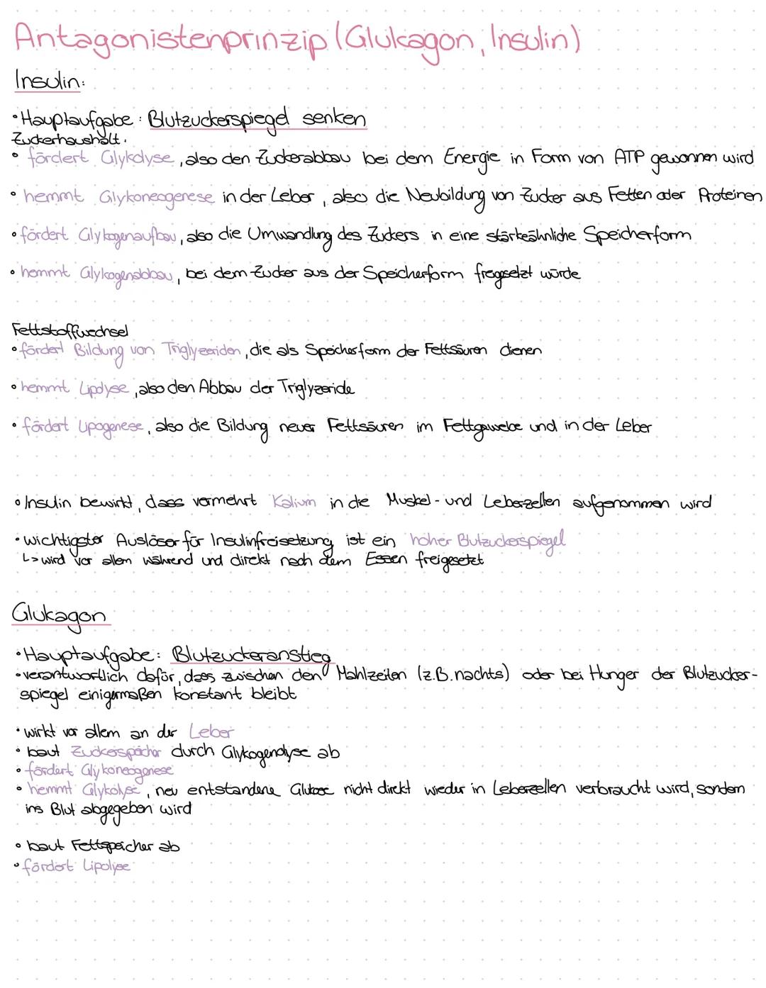 TRH GnRH GHRH
CRH - Releasing-Hormone
PIH Melatonin
Somatostatin
Release-Inhibiting -
Hormone
TSH
LH
Progesteron
Testosteron
Östigene
Andro