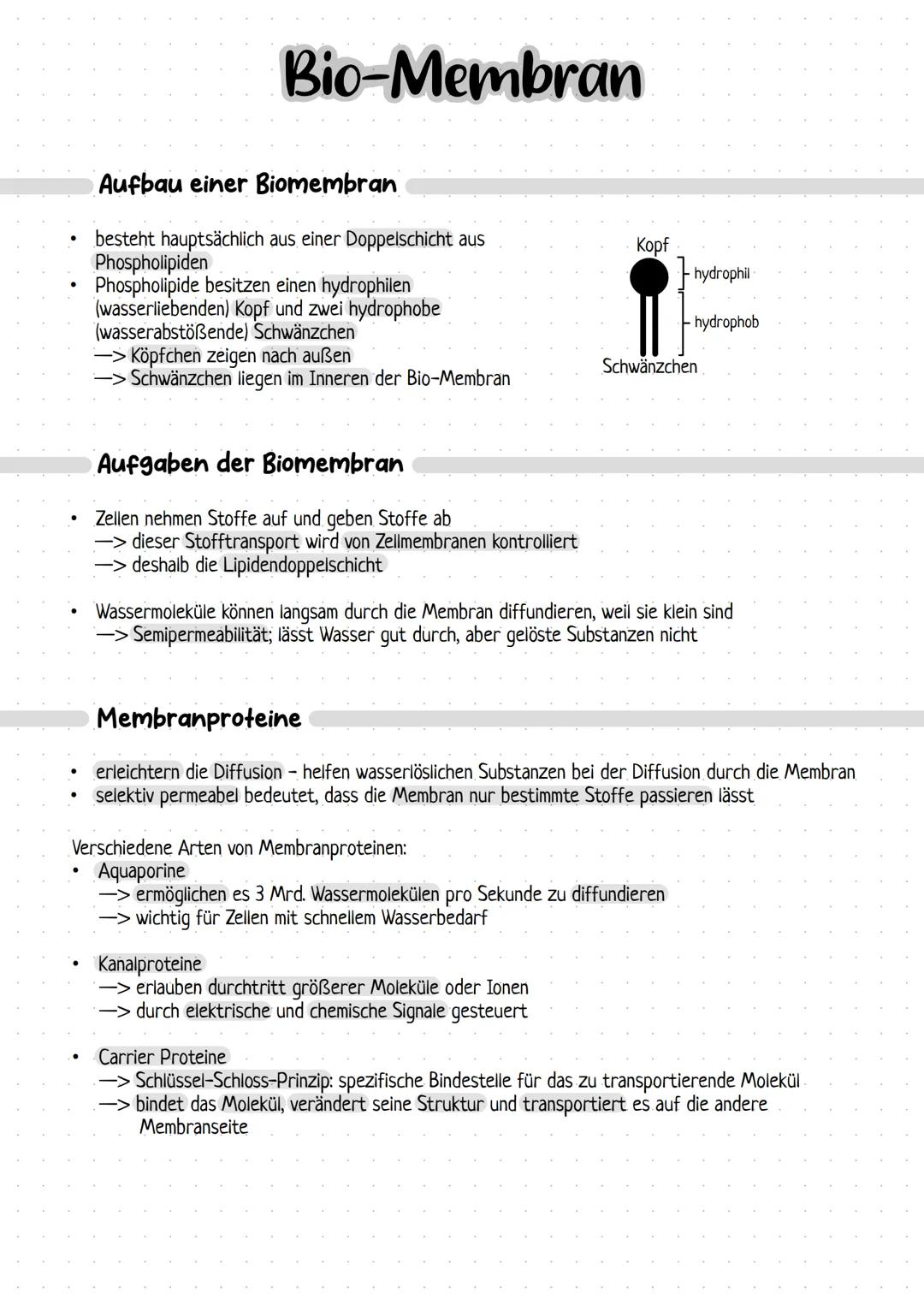 --- OCR Start ---
Bio-Membran
Aufbau einer Biomembran
besteht hauptsächlich aus einer Doppelschicht aus
Phospholipiden
Phospholipide besitze