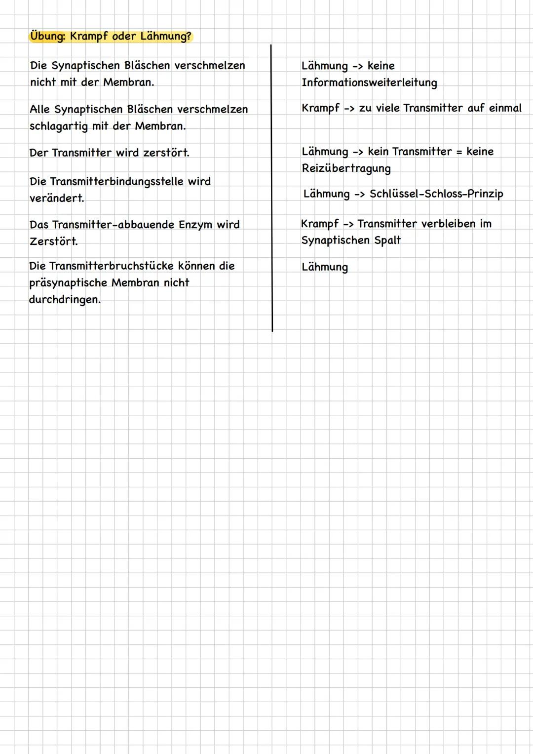 # Nervenzelle (Neuron) - der kleine Baustein von Rückenmark und Gehirn
Endknöpfchen
Zellkern
Zellkörper
Dendriten
Hüllzelle
Nervenfaser
A