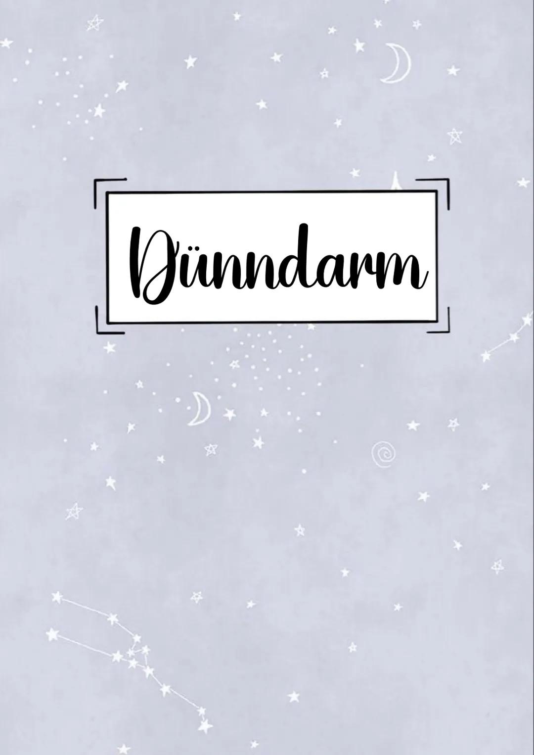 # Dünndarm --- OCR Start ---
Aufgaben
-Nahrung wird verdaut
Dünndarm (Intestinum tenue)
-> in einzelne Bestandteile zerlegt (Zucker, Protein