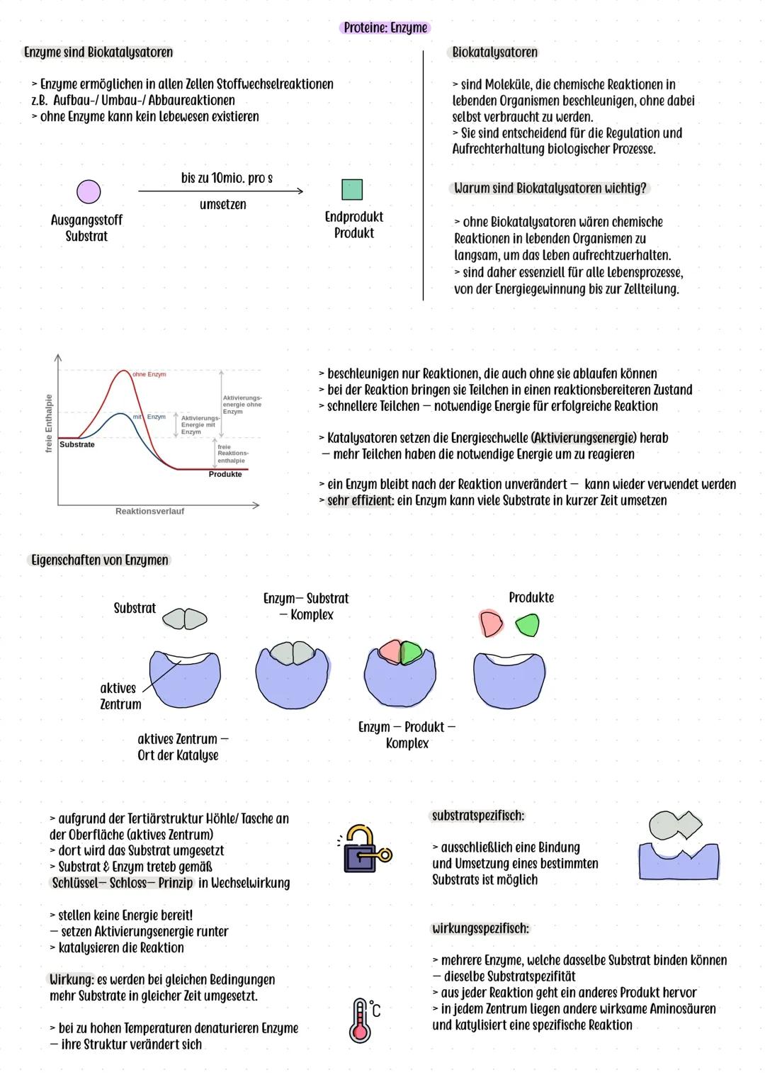 # Flüssig- Mosaik- Modell (Singer, Nicolson)
# Bau und Funktion der Biomembran
**Grundidee:**
> Zellmembran ist eine flexible, dynamische S
