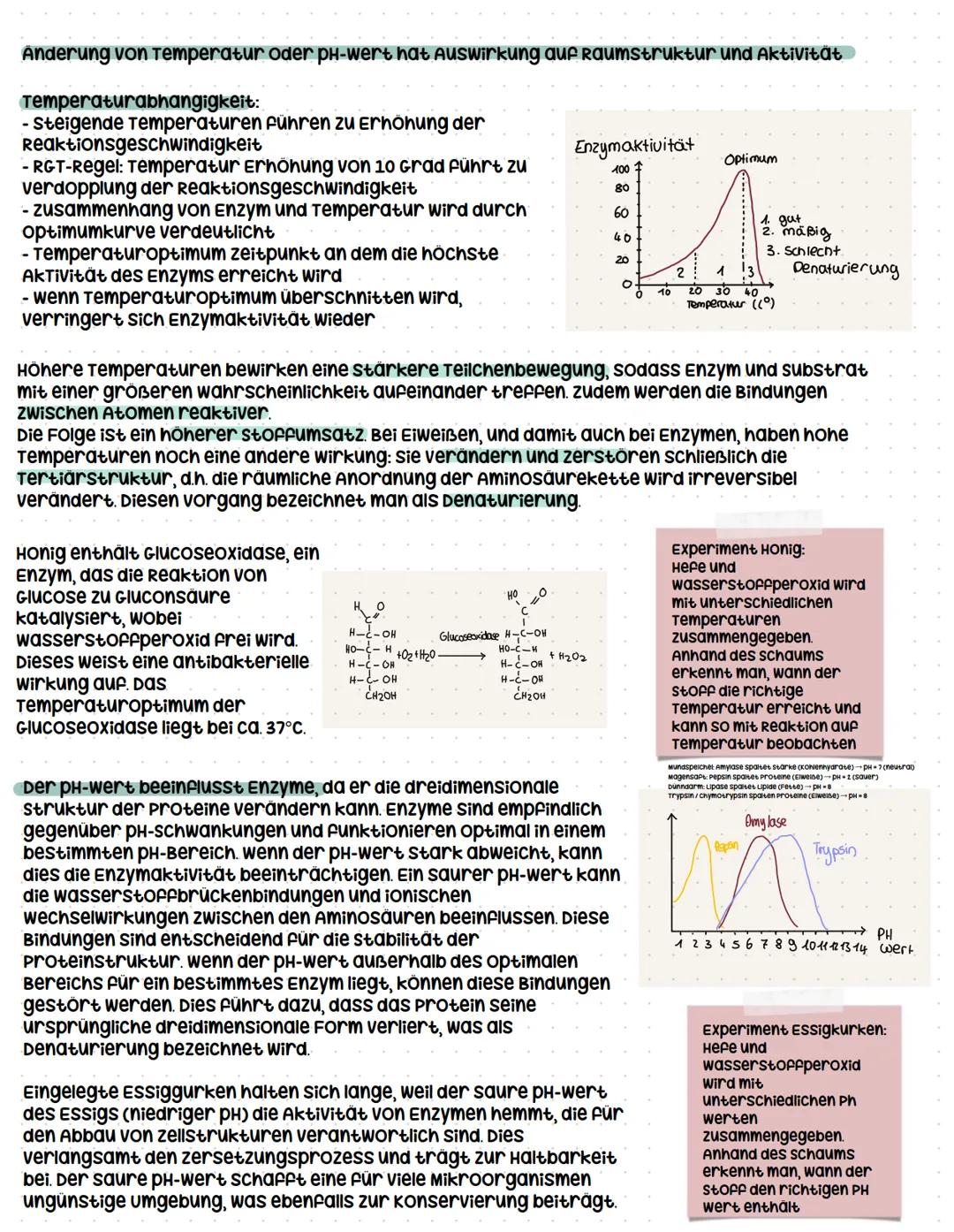 ```markdown
Enzymatik
systemebenen in der Biologie
organismus:
organsystem
organ
Gewebe,
zelle
organellen
molekulare Ebene
Enzyme als Bio