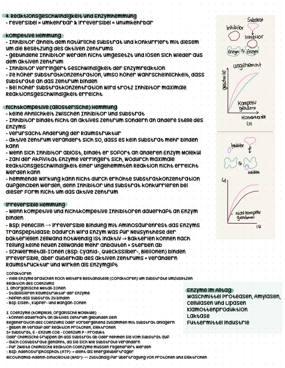```markdown
Enzymatik
systemebenen in der Biologie
organismus:
organsystem
organ
Gewebe,
zelle
organellen
molekulare Ebene
Enzyme als Bio