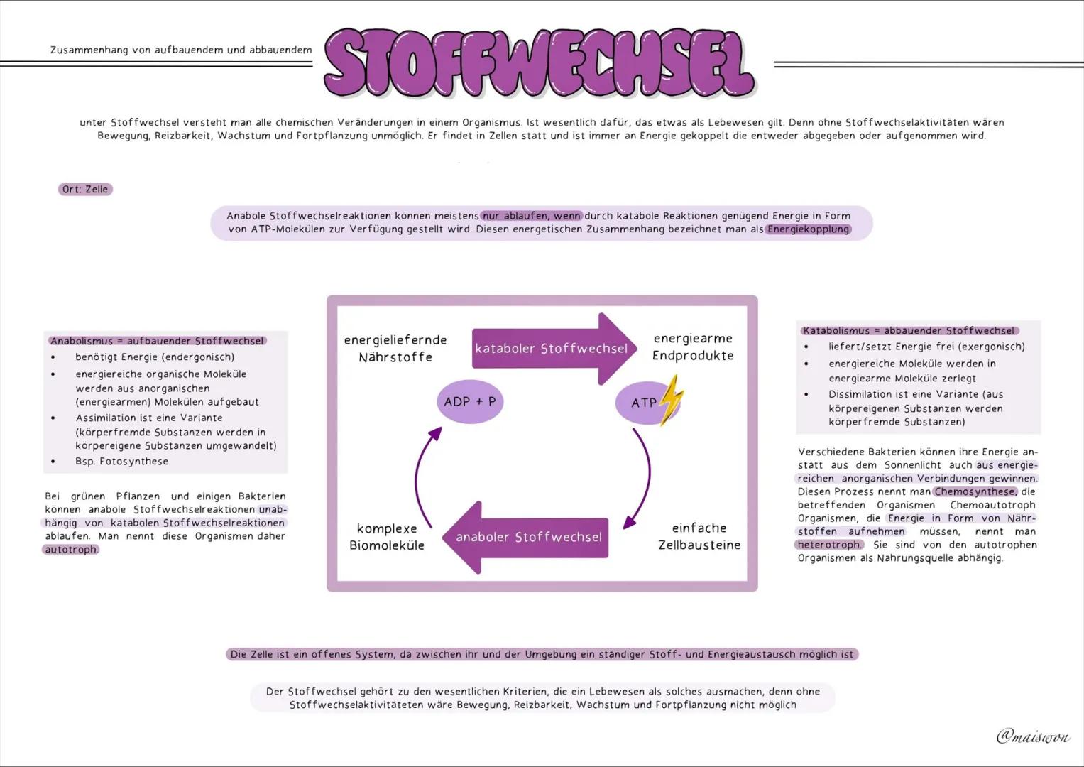 STOFFWECHSEL
- PHYSIOLOGIE # GRUNDKENNTNISSE
Glossar
| Begriff | Definition |
|---|---| 
exergonisch | Reaktionen, bei denen Energie freig