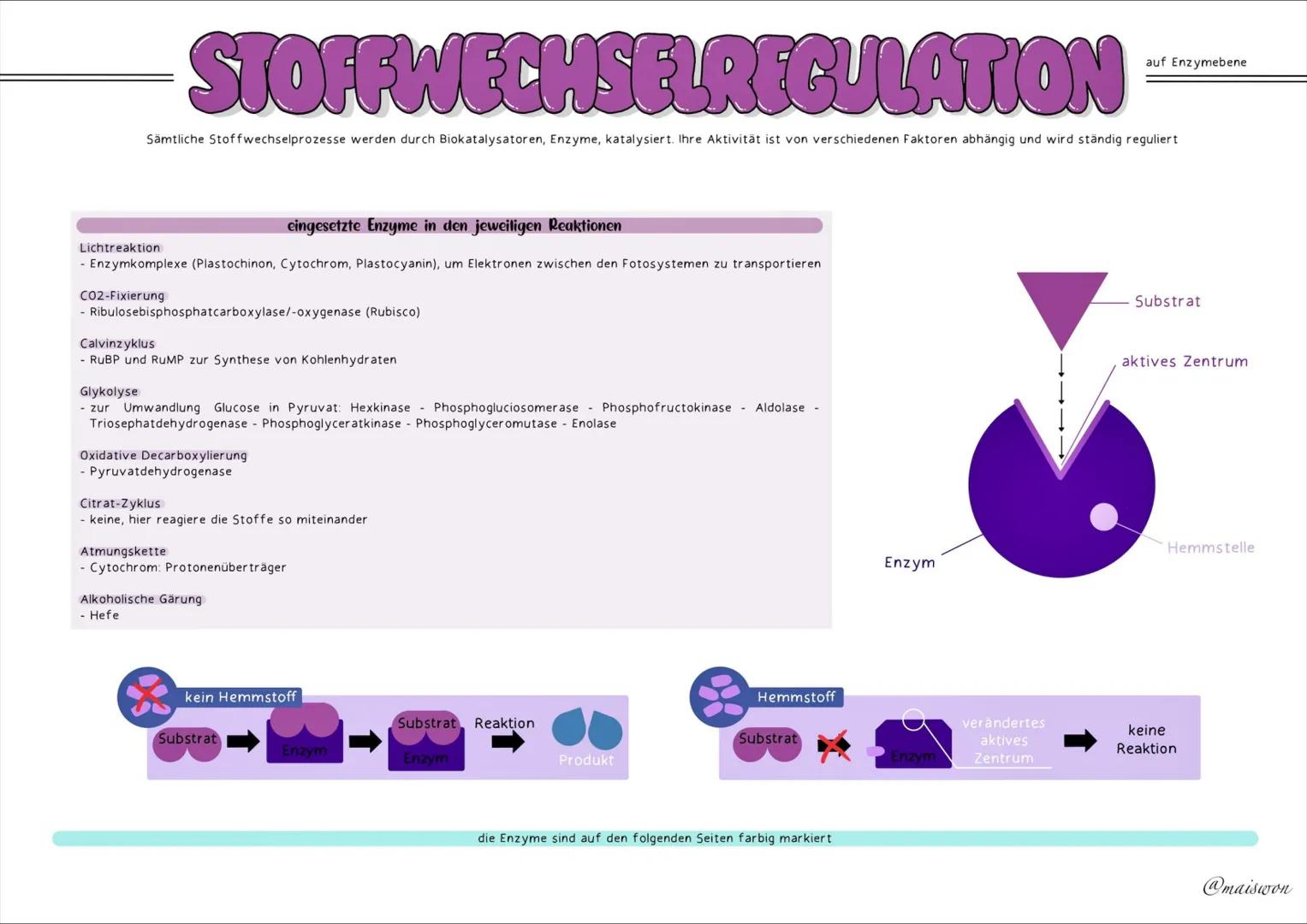 STOFFWECHSEL
- PHYSIOLOGIE # GRUNDKENNTNISSE
Glossar
| Begriff | Definition |
|---|---| 
exergonisch | Reaktionen, bei denen Energie freig