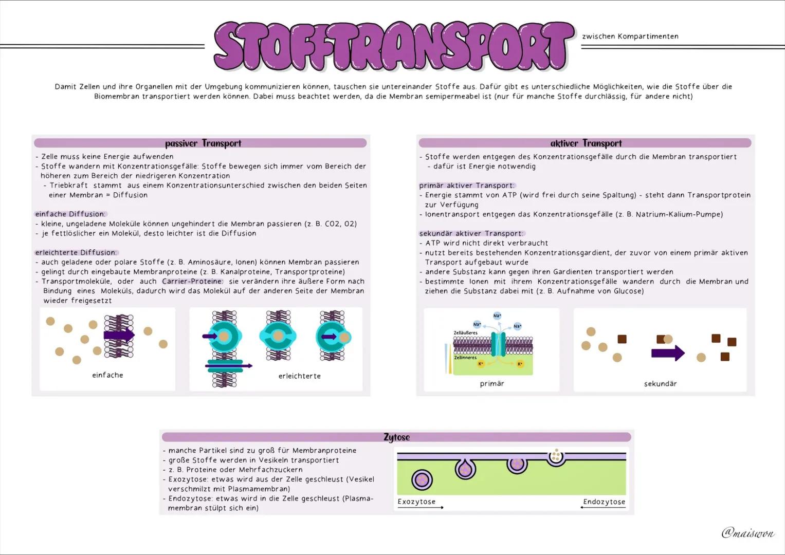 STOFFWECHSEL
- PHYSIOLOGIE # GRUNDKENNTNISSE
Glossar
| Begriff | Definition |
|---|---| 
exergonisch | Reaktionen, bei denen Energie freig
