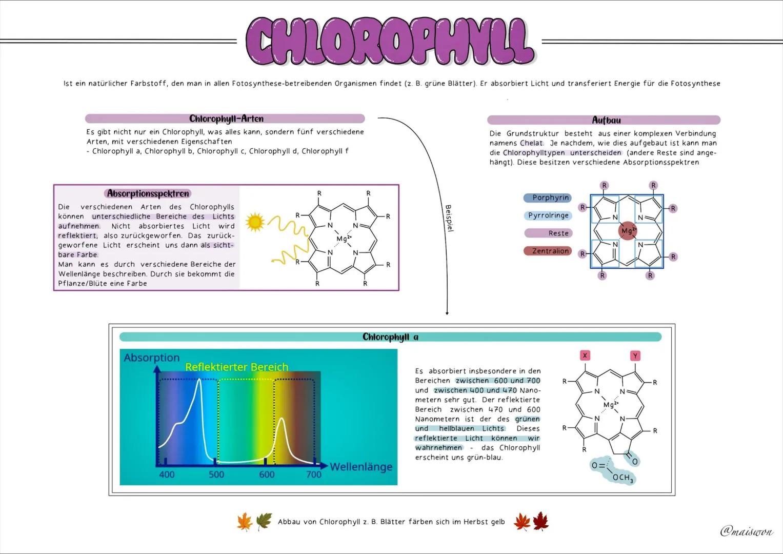 STOFFWECHSEL
- PHYSIOLOGIE # GRUNDKENNTNISSE
Glossar
| Begriff | Definition |
|---|---| 
exergonisch | Reaktionen, bei denen Energie freig