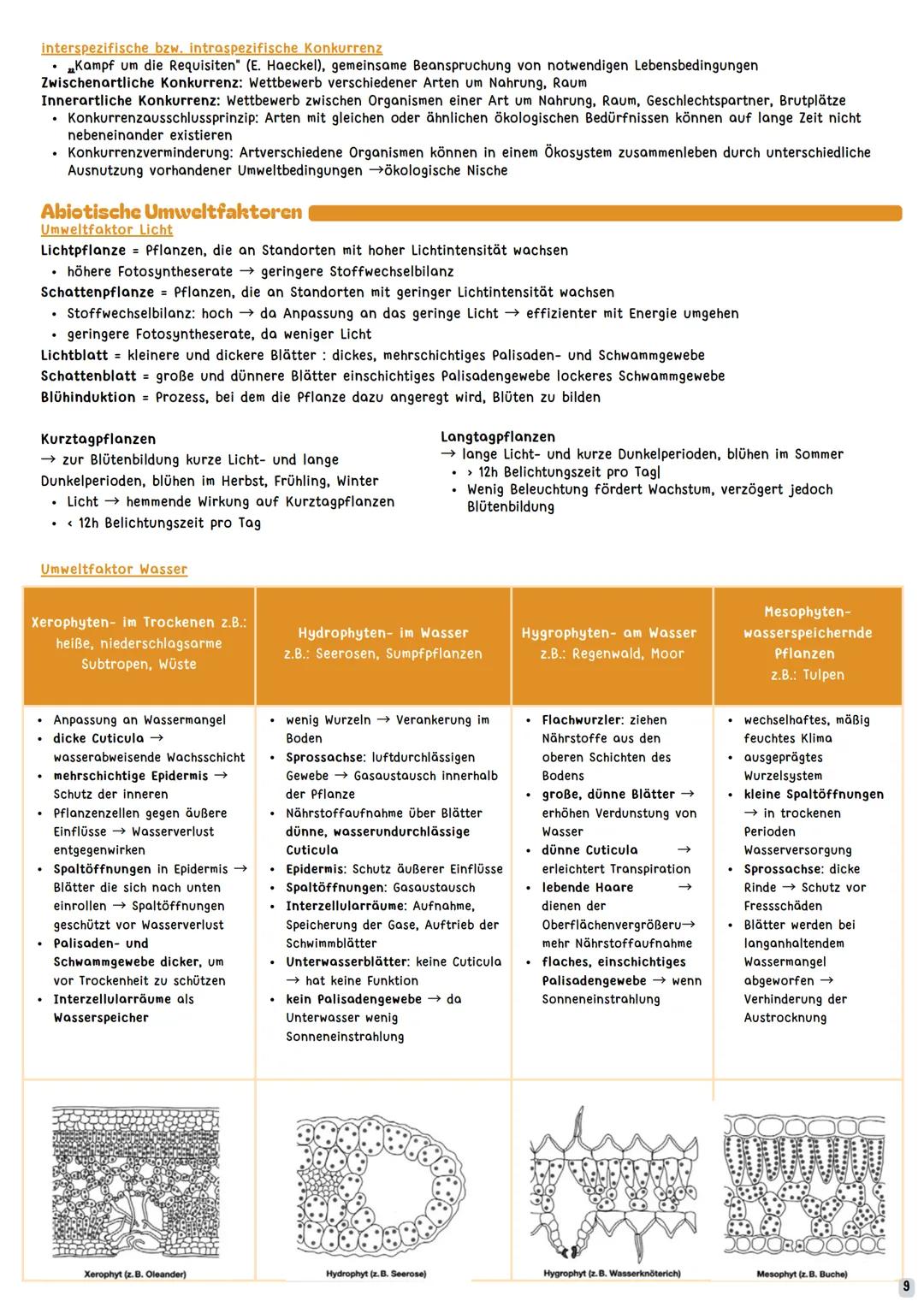 --- OCR Start ---
1
2
LEBEWESEN IN IHRER UMWELT
1. Strukturen und Zusammenhänge im Ökosystem
a. Ökologie Begriffe, Merkmale
b. Populationsök