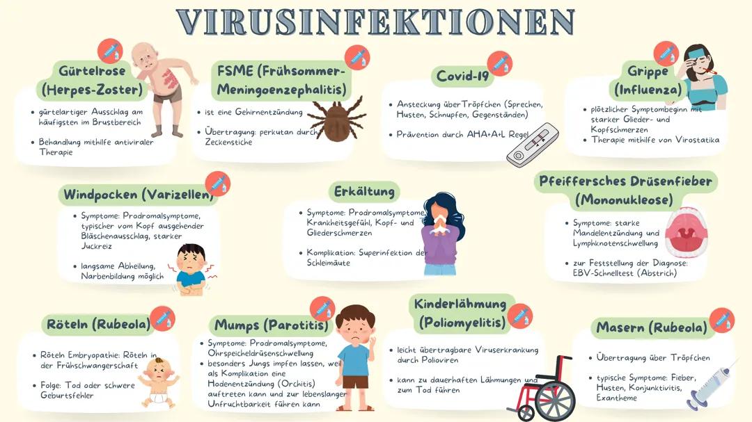 Virusinfektionen