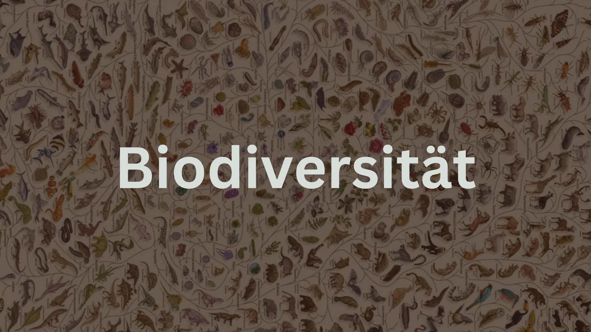 # Biodiversität Inhalt
1. Was ist Biodiversität?
1.1. Ebenen der Biodiversität
1.2. Funktionale Diversität
2. Ökologische und ökonomische A