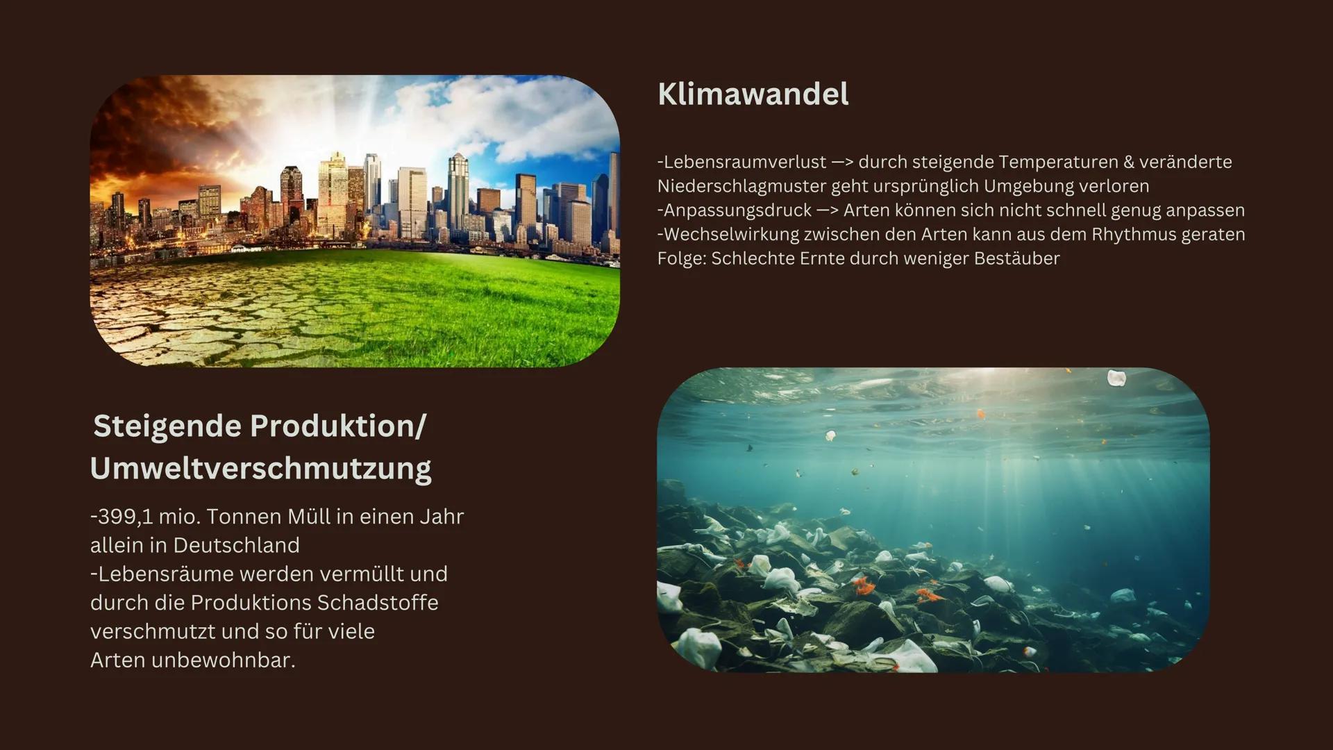 # Biodiversität Inhalt
1. Was ist Biodiversität?
1.1. Ebenen der Biodiversität
1.2. Funktionale Diversität
2. Ökologische und ökonomische A