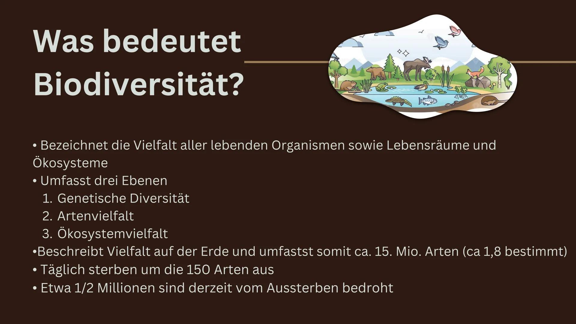 # Biodiversität Inhalt
1. Was ist Biodiversität?
1.1. Ebenen der Biodiversität
1.2. Funktionale Diversität
2. Ökologische und ökonomische A