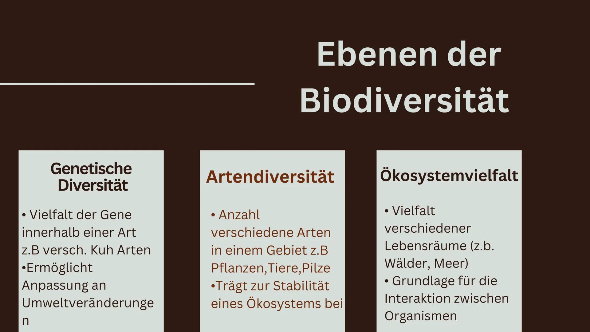 # Biodiversität Inhalt
1. Was ist Biodiversität?
1.1. Ebenen der Biodiversität
1.2. Funktionale Diversität
2. Ökologische und ökonomische A