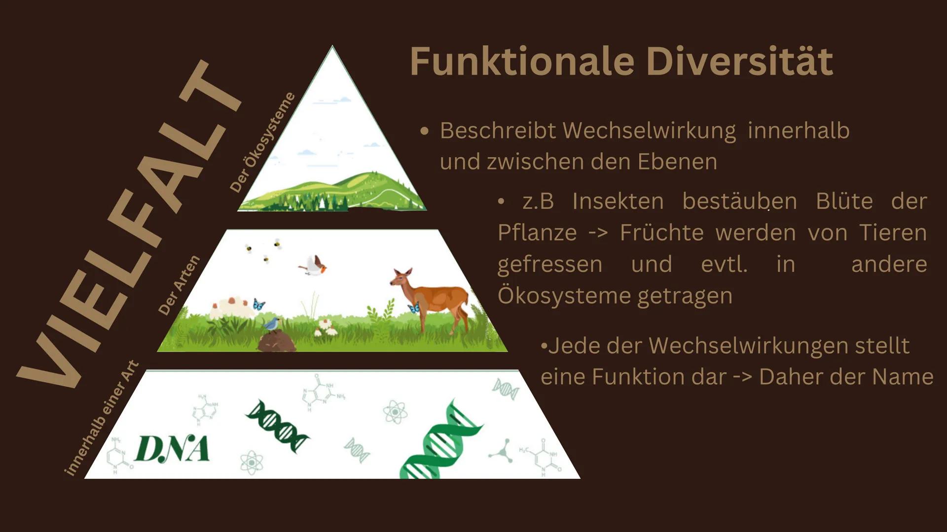 # Biodiversität Inhalt
1. Was ist Biodiversität?
1.1. Ebenen der Biodiversität
1.2. Funktionale Diversität
2. Ökologische und ökonomische A