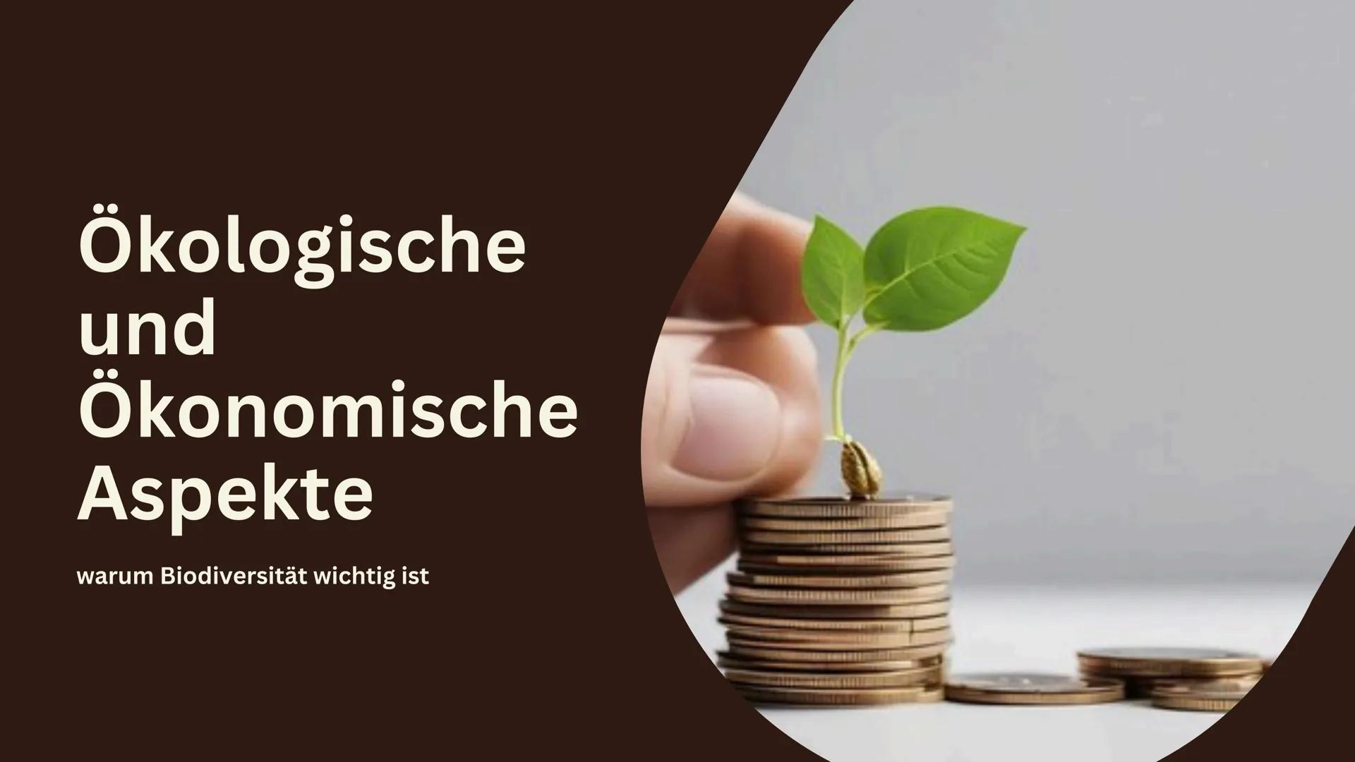 # Biodiversität Inhalt
1. Was ist Biodiversität?
1.1. Ebenen der Biodiversität
1.2. Funktionale Diversität
2. Ökologische und ökonomische A