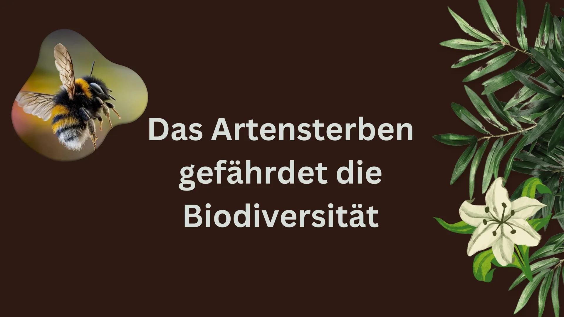 # Biodiversität Inhalt
1. Was ist Biodiversität?
1.1. Ebenen der Biodiversität
1.2. Funktionale Diversität
2. Ökologische und ökonomische A