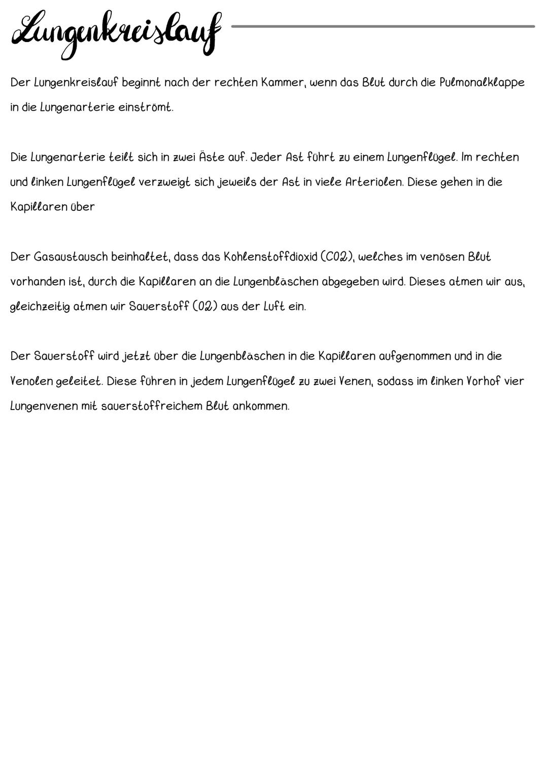 # Hery Anatomic
- muskulares Hohlorgan
- zentrale Pumpstation
- linke Herzseite ist kräftiger
- fasustgroß
Mann: ca. 300g
Frau: ca. 260g
L