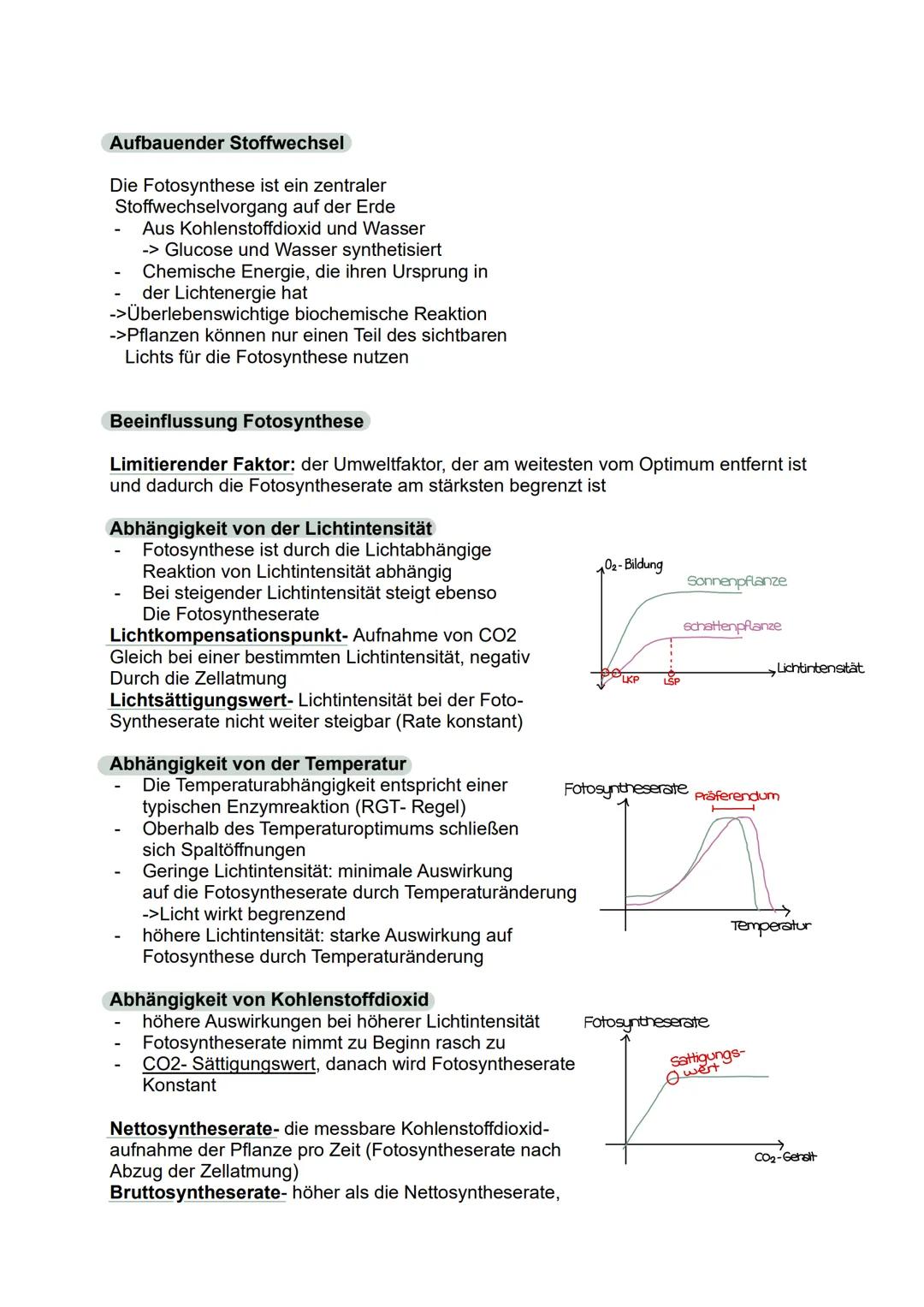 Abitur 2025
- Biologie GK
Lernzettel
1. Stoffwechselphysiologie
2. Genetik
3. Ökologie
4. Evolution
5. Neurobiologie # 1. Stoffwechselphysi