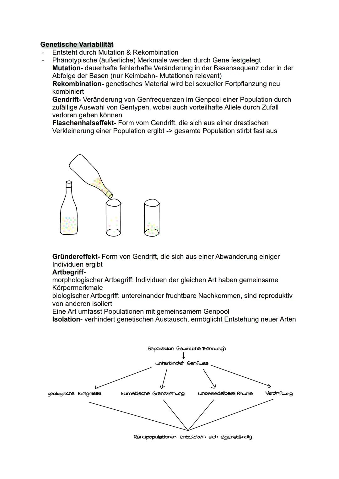 --- OCR Start ---
Toleranzkurve
besteht aus
biotische
Funktionen
3. Ökologie
Ökosystem
besteht aus
abiotische
Funktionen
Biozönose
bilden
ei