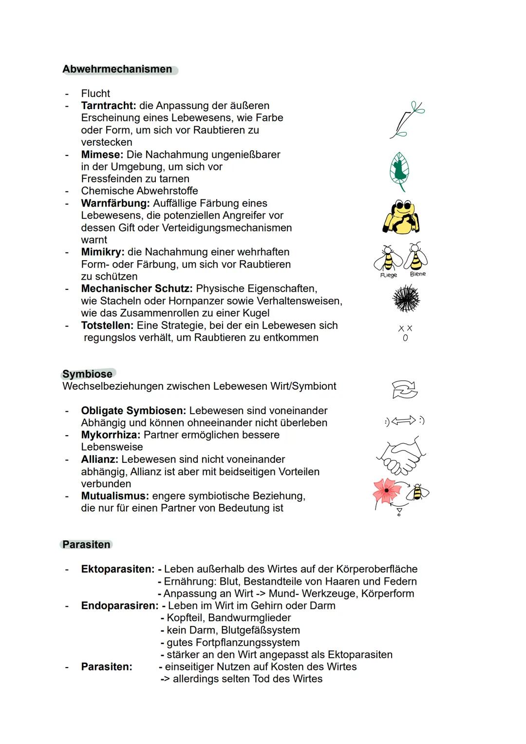 --- OCR Start ---
Toleranzkurve
besteht aus
biotische
Funktionen
3. Ökologie
Ökosystem
besteht aus
abiotische
Funktionen
Biozönose
bilden
ei