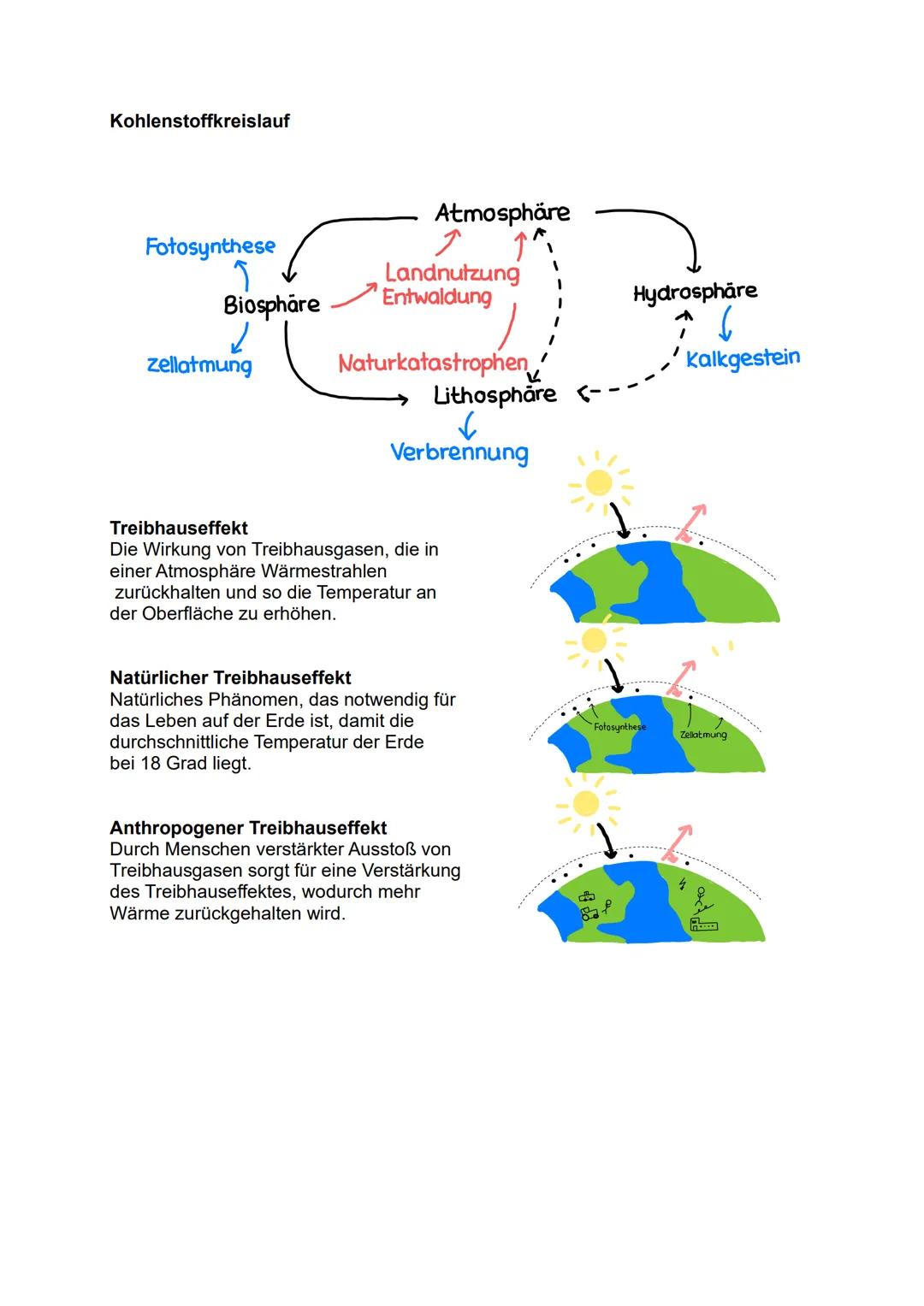 --- OCR Start ---
Toleranzkurve
besteht aus
biotische
Funktionen
3. Ökologie
Ökosystem
besteht aus
abiotische
Funktionen
Biozönose
bilden
ei