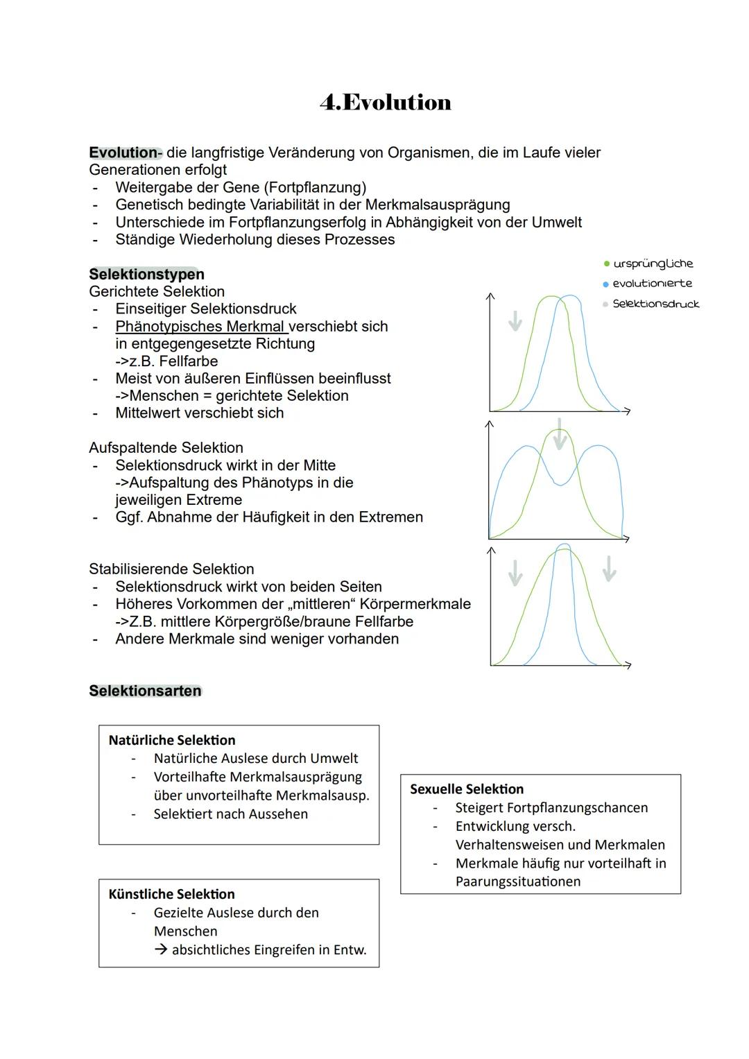 --- OCR Start ---
Toleranzkurve
besteht aus
biotische
Funktionen
3. Ökologie
Ökosystem
besteht aus
abiotische
Funktionen
Biozönose
bilden
ei