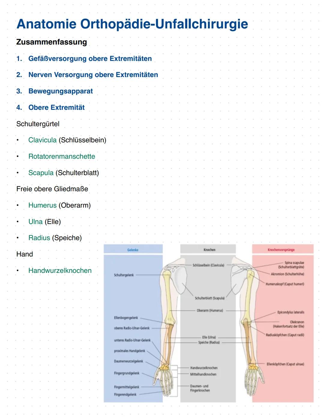 # Anatomie Orthopädie-Unfallchirurgie
Zusammenfassung
1. Gefäßversorgung obere Extremitäten
2. Nerven Versorgung obere Extremitäten
3. Bewe