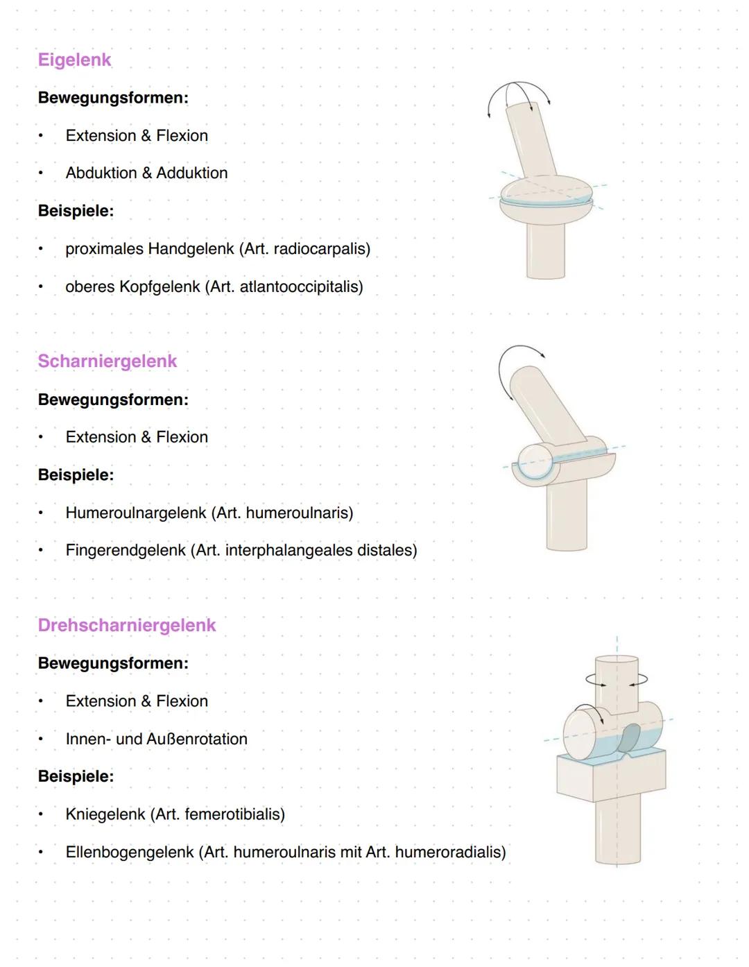 # Anatomie Orthopädie-Unfallchirurgie
Zusammenfassung
1. Gefäßversorgung obere Extremitäten
2. Nerven Versorgung obere Extremitäten
3. Bewe