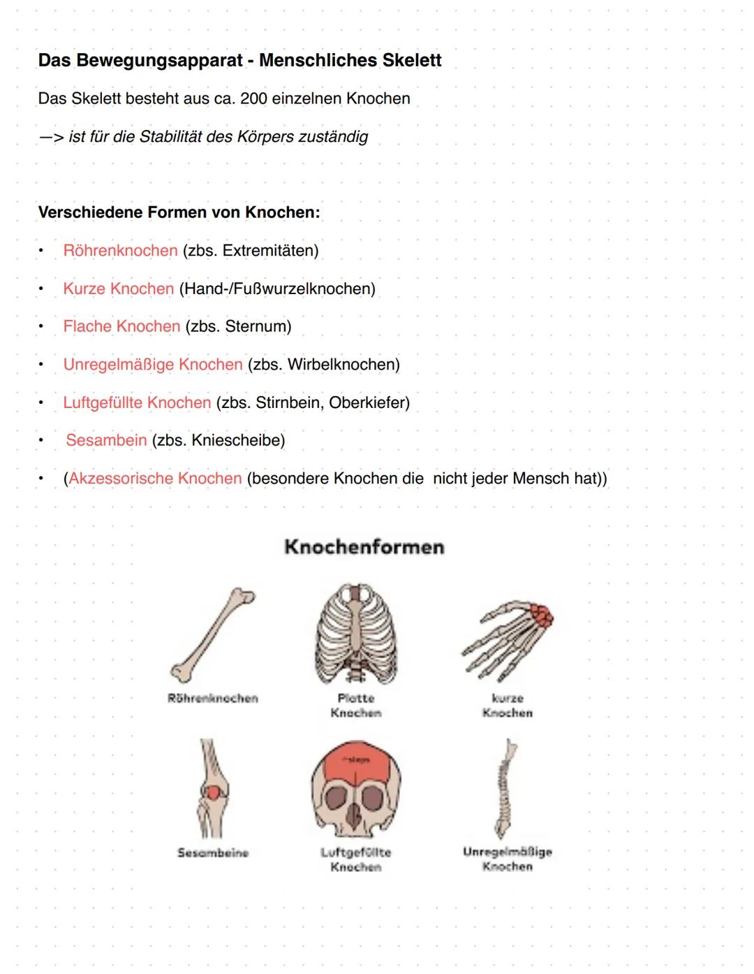 # Anatomie Orthopädie-Unfallchirurgie
Zusammenfassung
1. Gefäßversorgung obere Extremitäten
2. Nerven Versorgung obere Extremitäten
3. Bewe