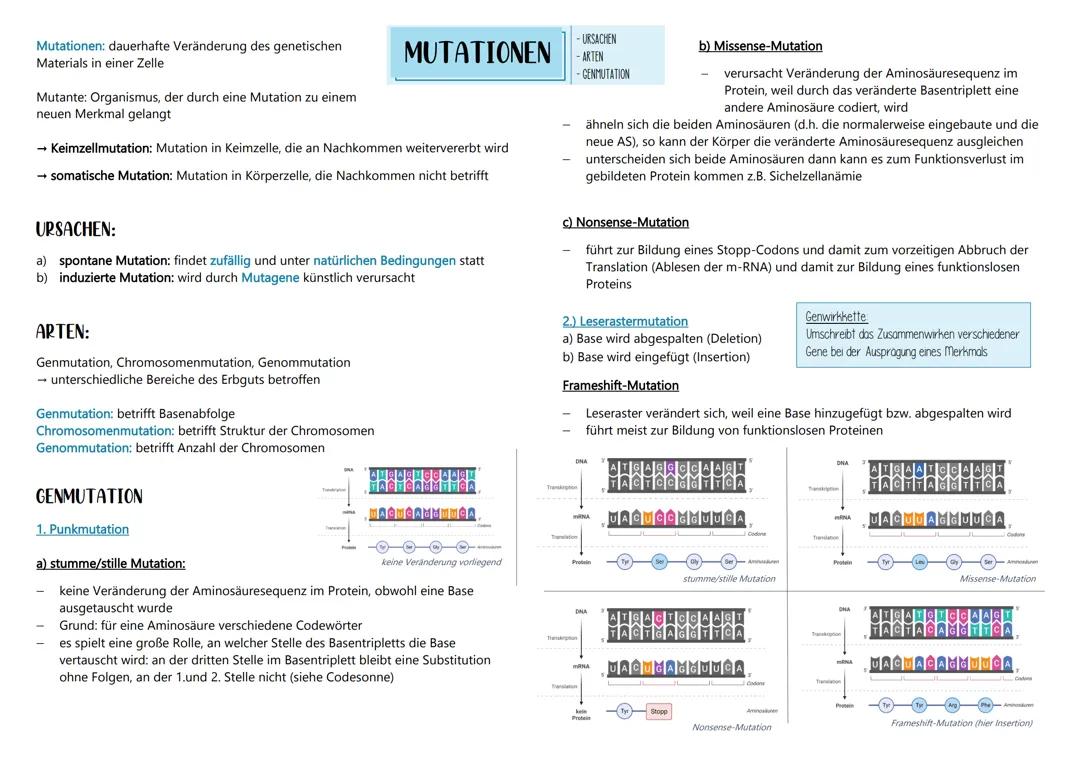 Mutation und Modifikation