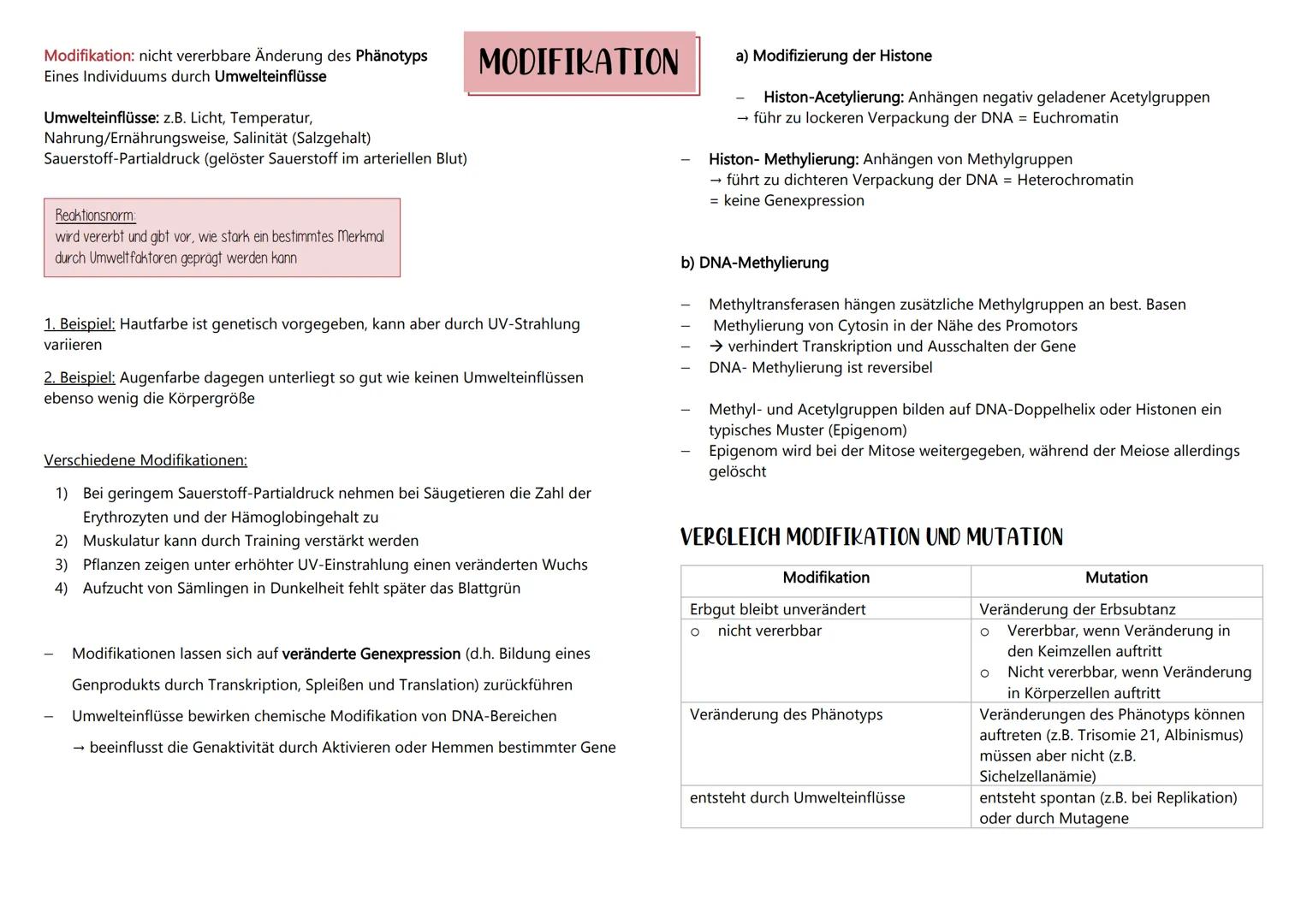 Mutationen: dauerhafte Veränderung des genetischen
Materials in einer Zelle
Mutante: Organismus, der durch eine Mutation zu einem
neuen Mer