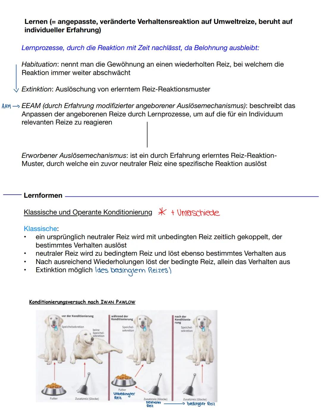 # Verhaltensbiologie
Unbedingter Reiz: angeborener, natürlicher Reiz, der ohne vorherige Erfahrungen eine
feste Reaktion auslöst (z.B Futte