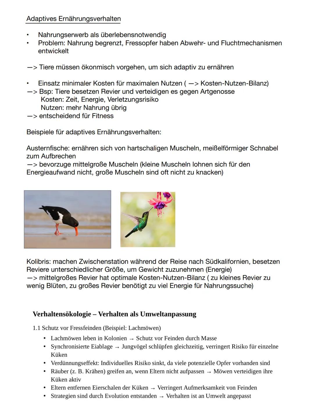 # Verhaltensbiologie
Unbedingter Reiz: angeborener, natürlicher Reiz, der ohne vorherige Erfahrungen eine
feste Reaktion auslöst (z.B Futte