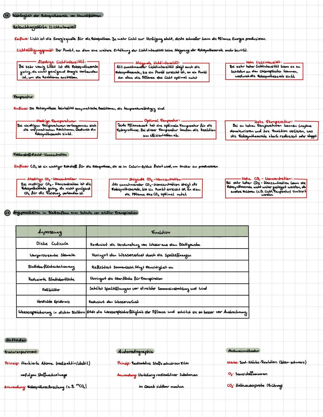 # Fotosynthese
Och hann die Realitionsgleichung für die Fotosynthese aufstellen
-Brutto
$6C0_2 + 12 H_2O + Lichtenergie \longrightarrow C