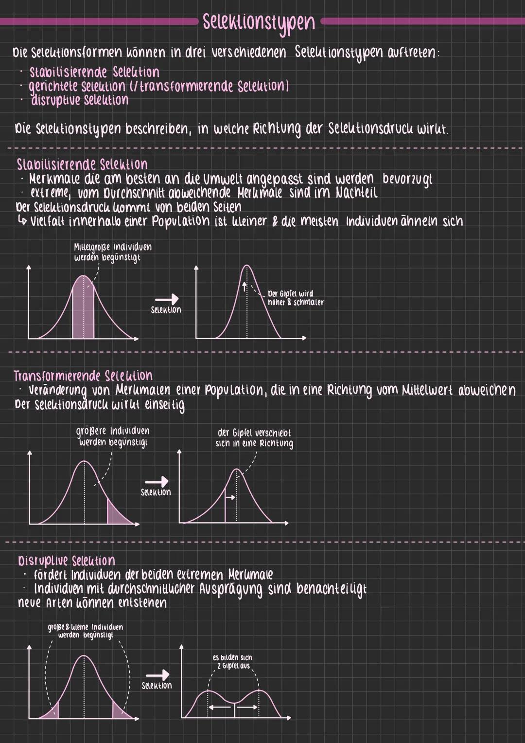 # Selektionstypen
Die Selektionsformen können in drei verschiedenen Selektionstypen auftreten:
- Stabilisierende Selektion
- gerichtete sel