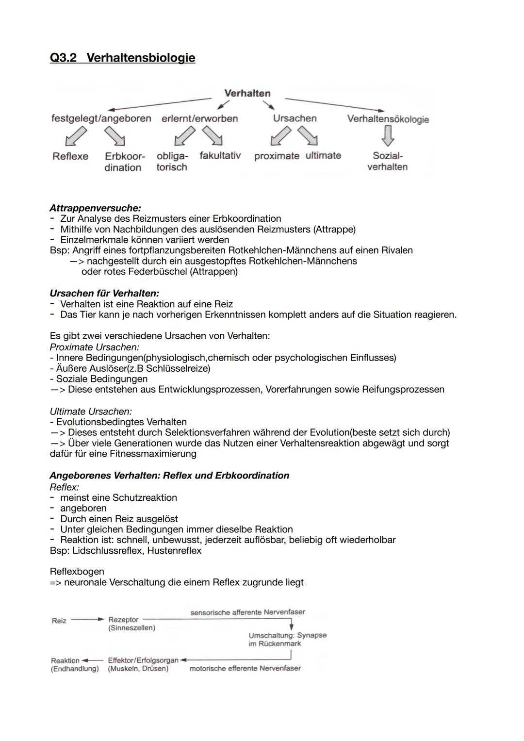 Q3.2 Verhaltensbiologie Q3.2 Verhaltensbiologie
Verhalten
festgelegt/angeboren erlernt/erworben Ursachen Verhaltensökologie
Reflexe Erbko