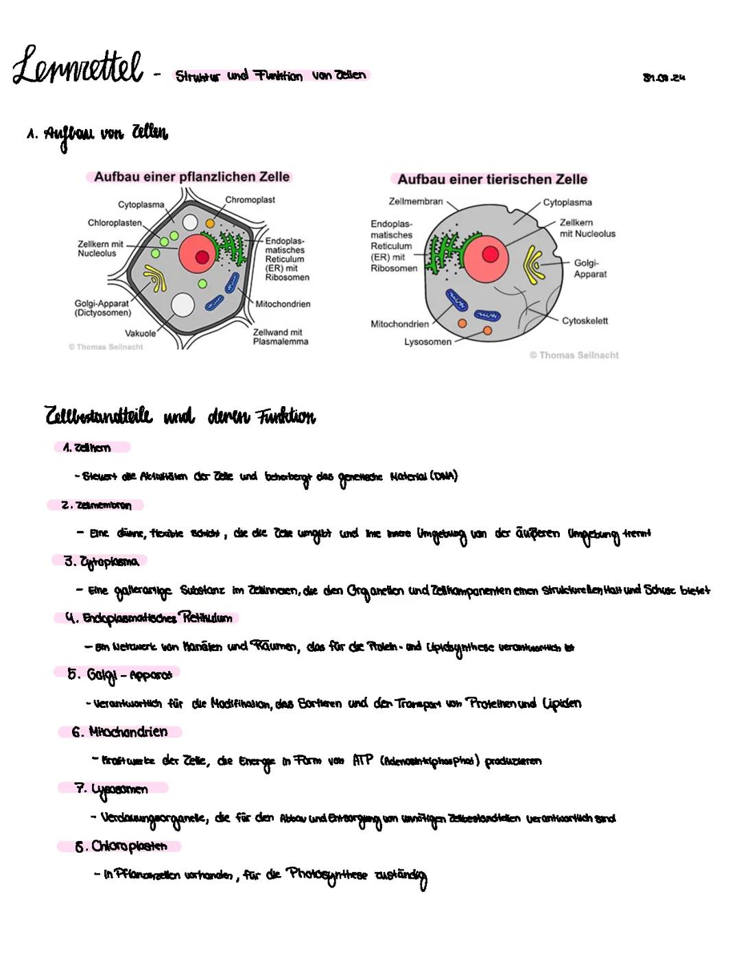 Struktur und Funktion von Zellen