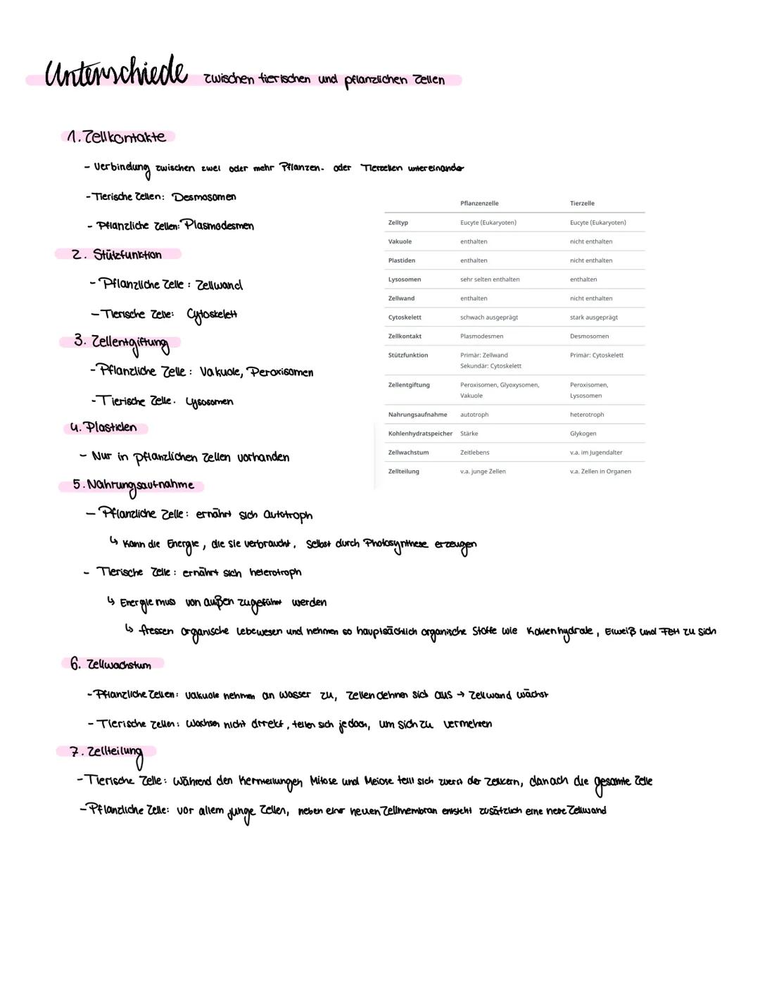 --- OCR Start ---
Lennrettel
Struktur und Funktion von Zellen
1. Aufbau von Zellen
Aufbau einer pflanzlichen Zelle
Cytoplasma
Chloroplasten