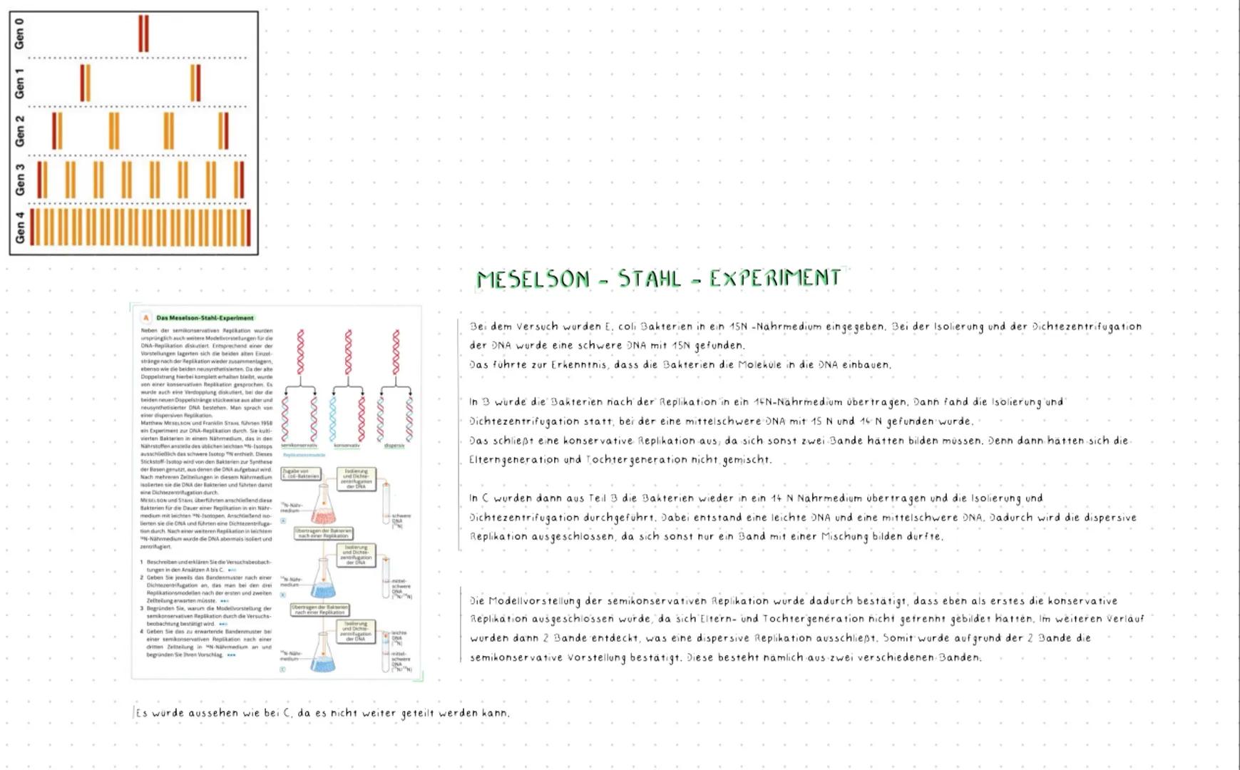 --- OCR Start ---
Inhaltsbereich QP 2 - Vielfalt des Lebens
2.1 Durch spezifische Basenabfolgen in der DNA werden Informationen für die Stru