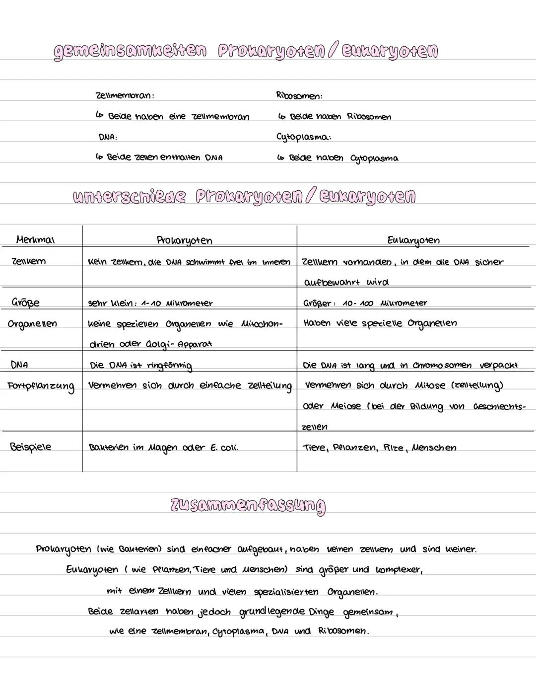 --- OCR Start ---
Pflanzenzelle
eukaryoten aufbau
Endoplasmatische Retikulum (ER)
Zellmembran
Tierzelle
Zellwand
Zellkern mit Nucleolus
Vaku