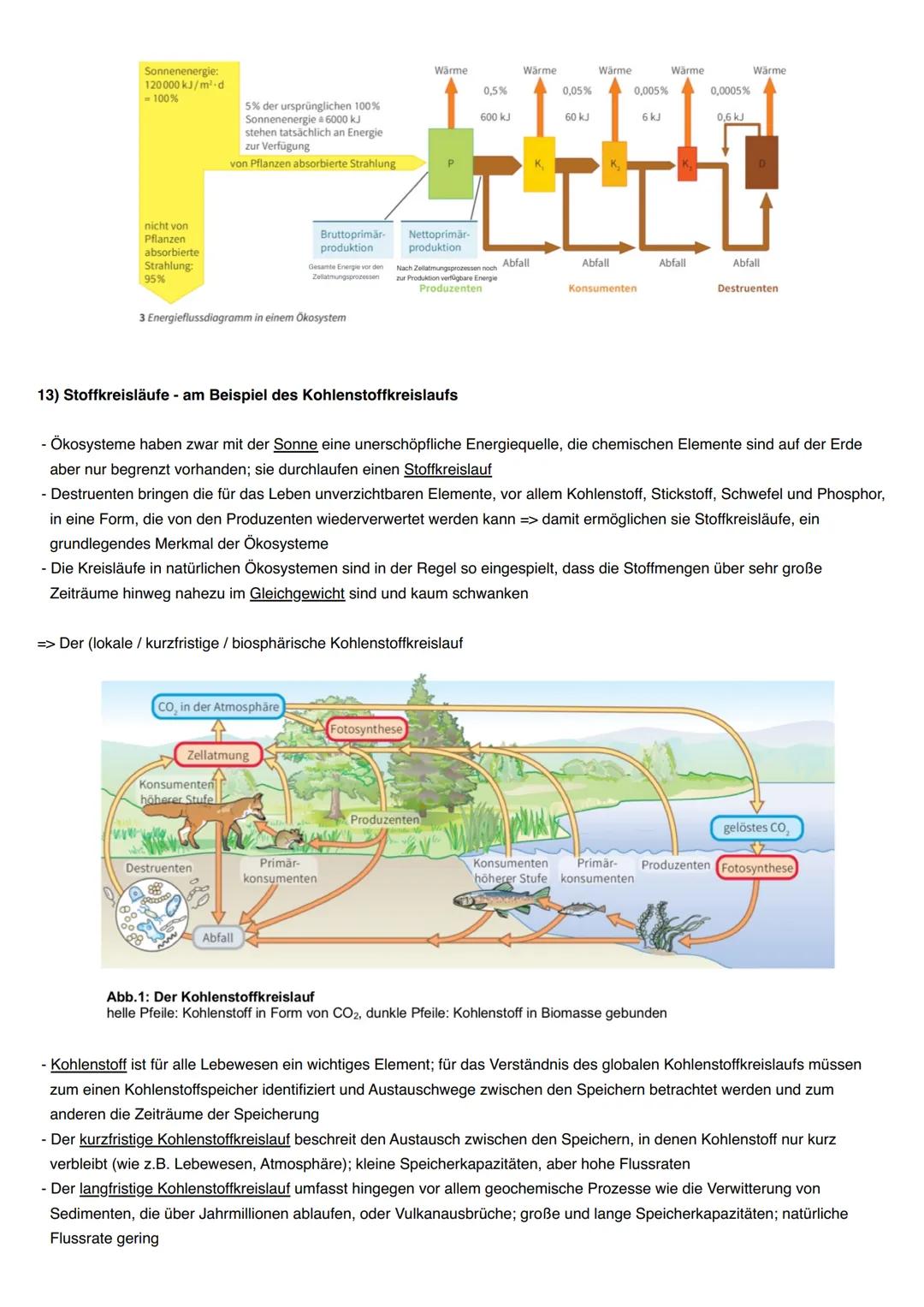 # Ökologie
1) Abiotische und biotische Faktoren wirken auf Lebewesen
- Jedes Lebewesen wird von Faktoren in seiner Umwelt beeinflusst
- Ma