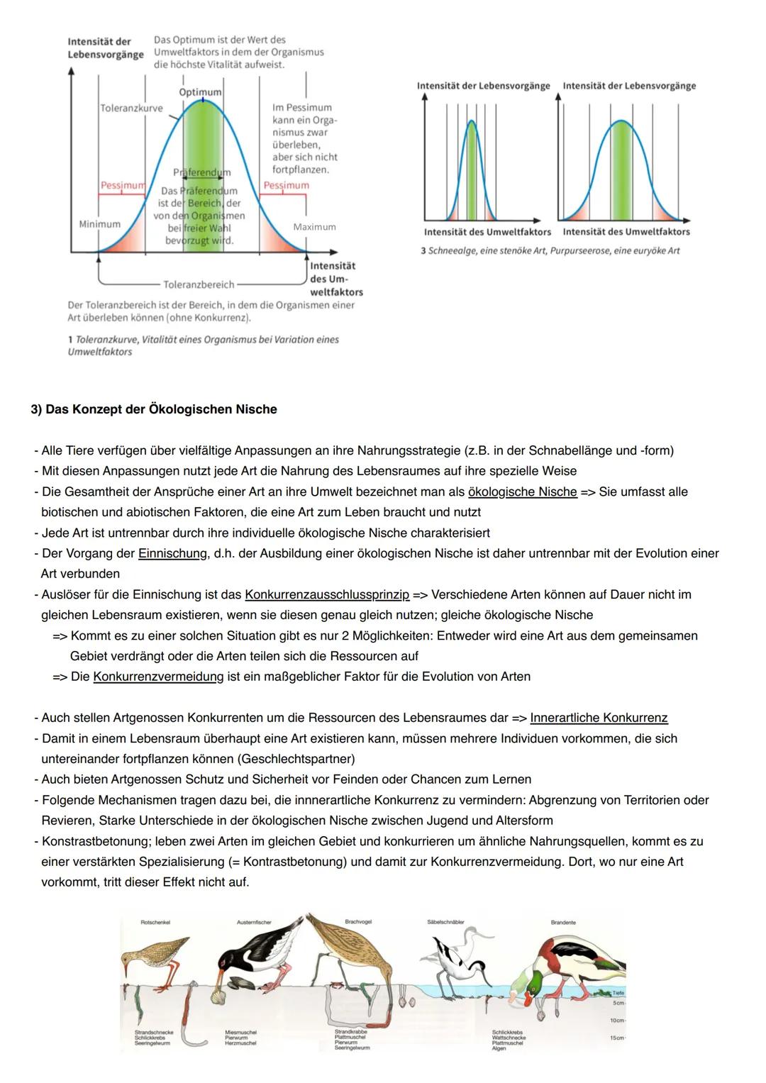 # Ökologie
1) Abiotische und biotische Faktoren wirken auf Lebewesen
- Jedes Lebewesen wird von Faktoren in seiner Umwelt beeinflusst
- Ma