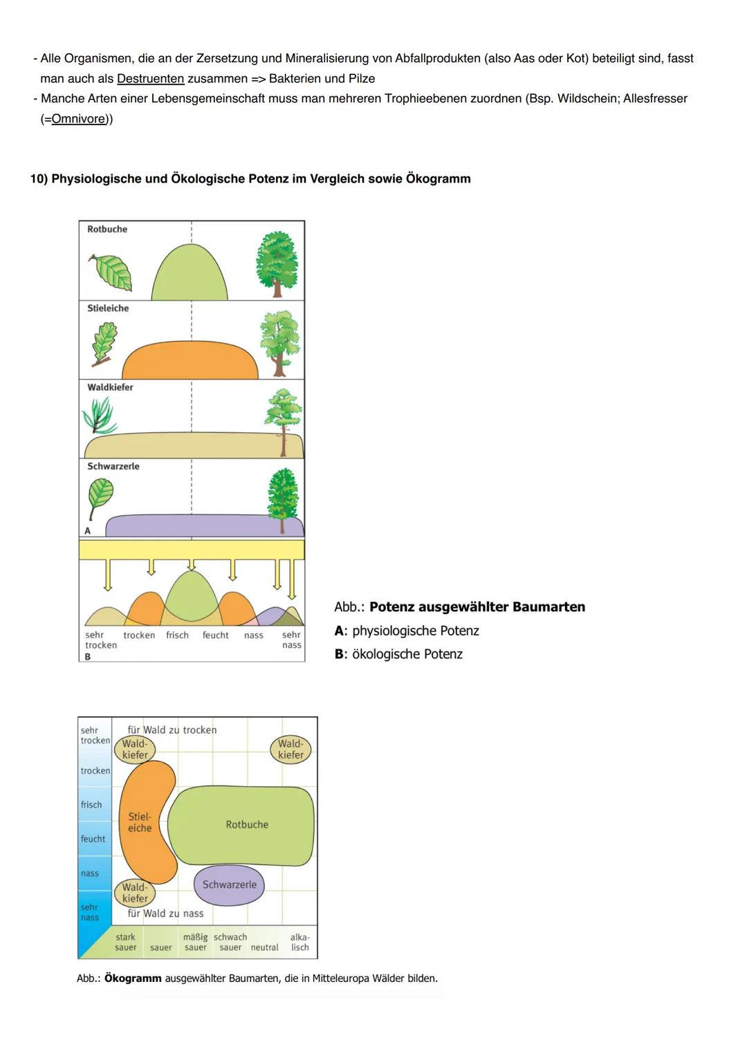 # Ökologie
1) Abiotische und biotische Faktoren wirken auf Lebewesen
- Jedes Lebewesen wird von Faktoren in seiner Umwelt beeinflusst
- Ma