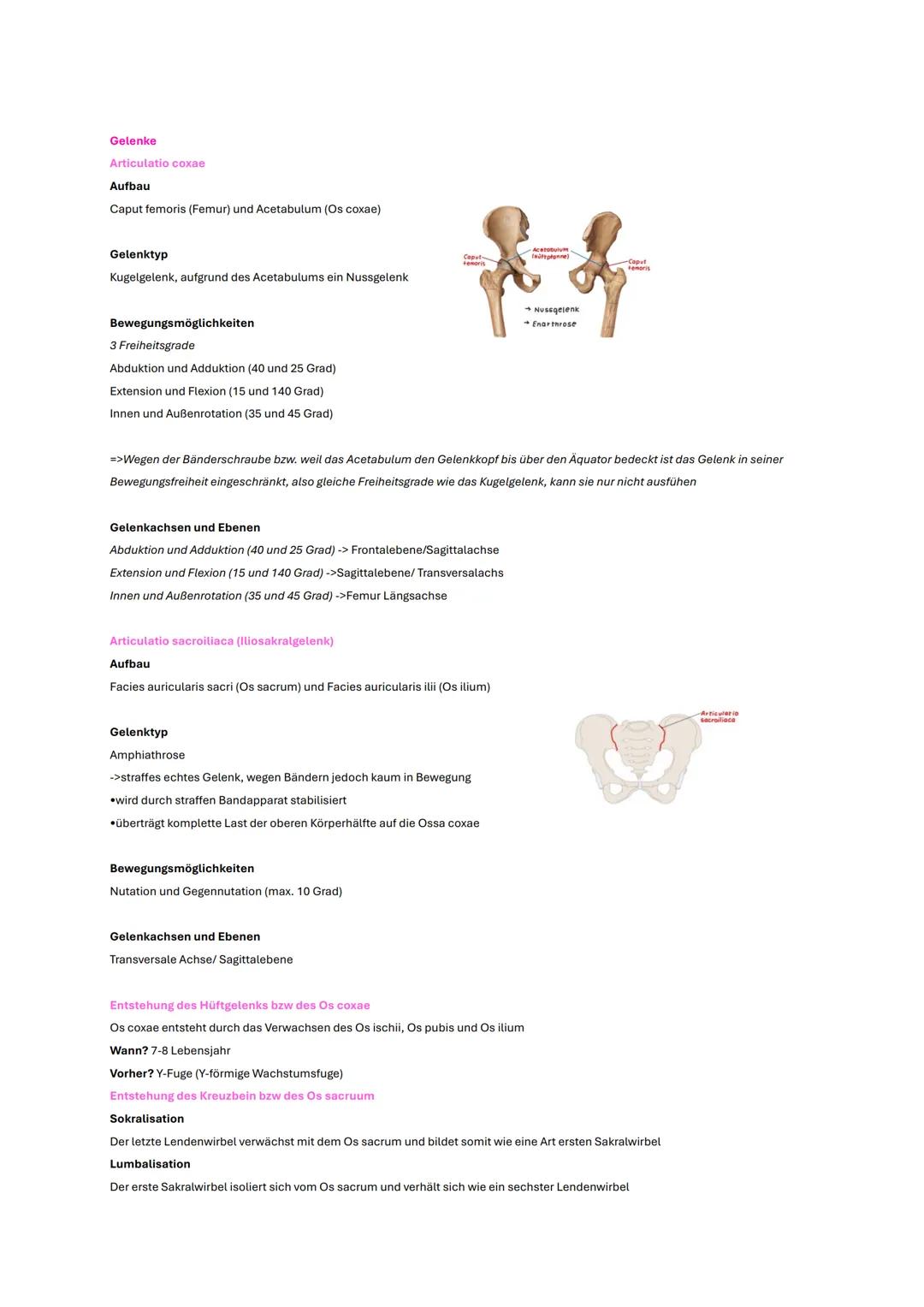 # Becken und Hüfte
# Wichtige Inhalte
* Knochen
* Gelenke
* Bänder
* wichtige Muskeln
* Klinik # Gelenke
# Articulatio coxae
## Aufbau
C