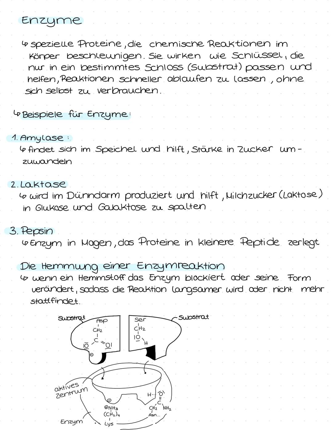 Chemie
Lernzettel # Aminosäuren
Was sind Aminosauren
Aminosäuren sind die Bausteine von Proteinen, die
durch ihre spezifischen Seitenkette