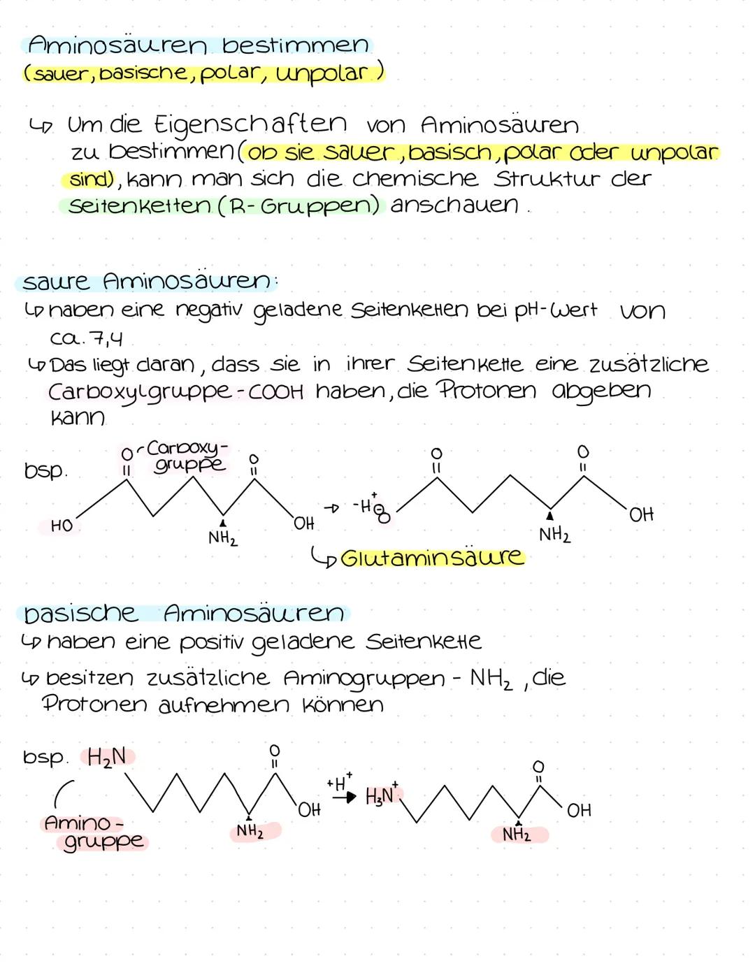 Chemie
Lernzettel # Aminosäuren
Was sind Aminosauren
Aminosäuren sind die Bausteine von Proteinen, die
durch ihre spezifischen Seitenkette